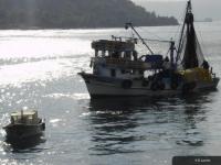Bateau