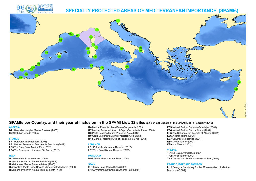 SPAMIs In the Mediterranean SPAMIs in the Mediterranean