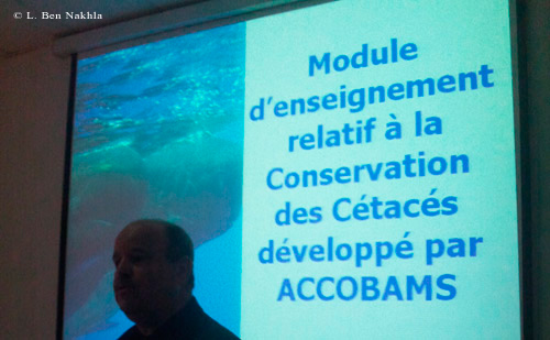 Module de formation en cétologie
