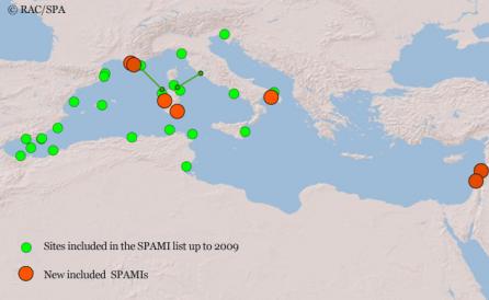 SPAMIs in the Mediterranean SPAMIs in the Mediterranean