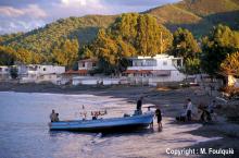 Ras el Bassit - Syrie - © M. Foulquie
