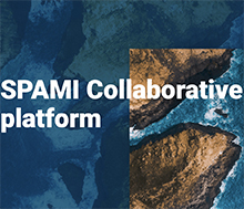 SPAMI Collaborative Platform