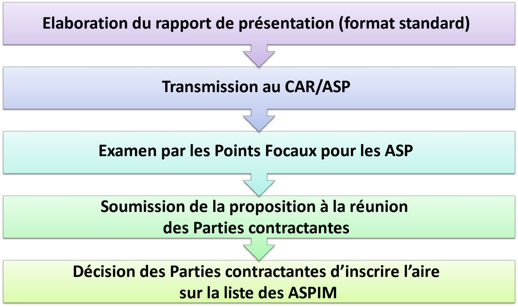 Procedure for establishing a SPAMI Procedure